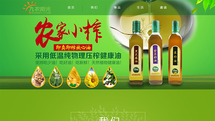 九農(nóng)陽(yáng)光生態(tài)農(nóng)業(yè)網(wǎng)站截圖
